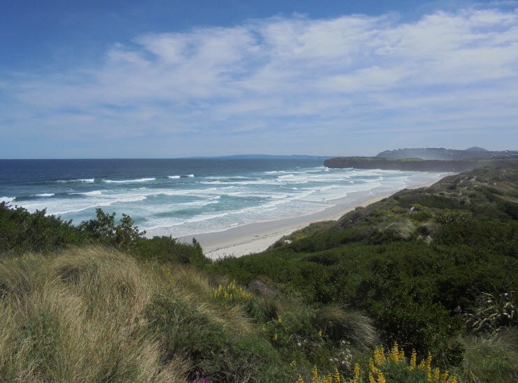 Tomahawk Beach, New Zealand, New Zealand